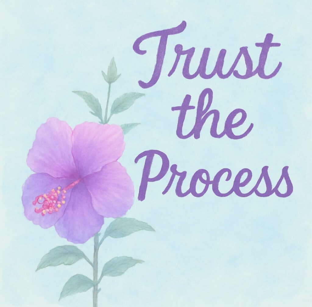 whatsapp image 2025 09 20 at 12.32.45 (2)